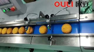 Automatic Mooncake Tray Loading and Packaging
