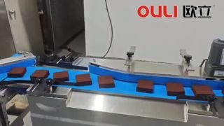 Automatic Tray Loading and Packaging Machine Solution