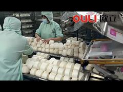 Automated Steamed Bun Packaging Machine High Speed Solution