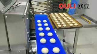 High Speed Efficiency Automatic Pasty Production High Speed Efficiency